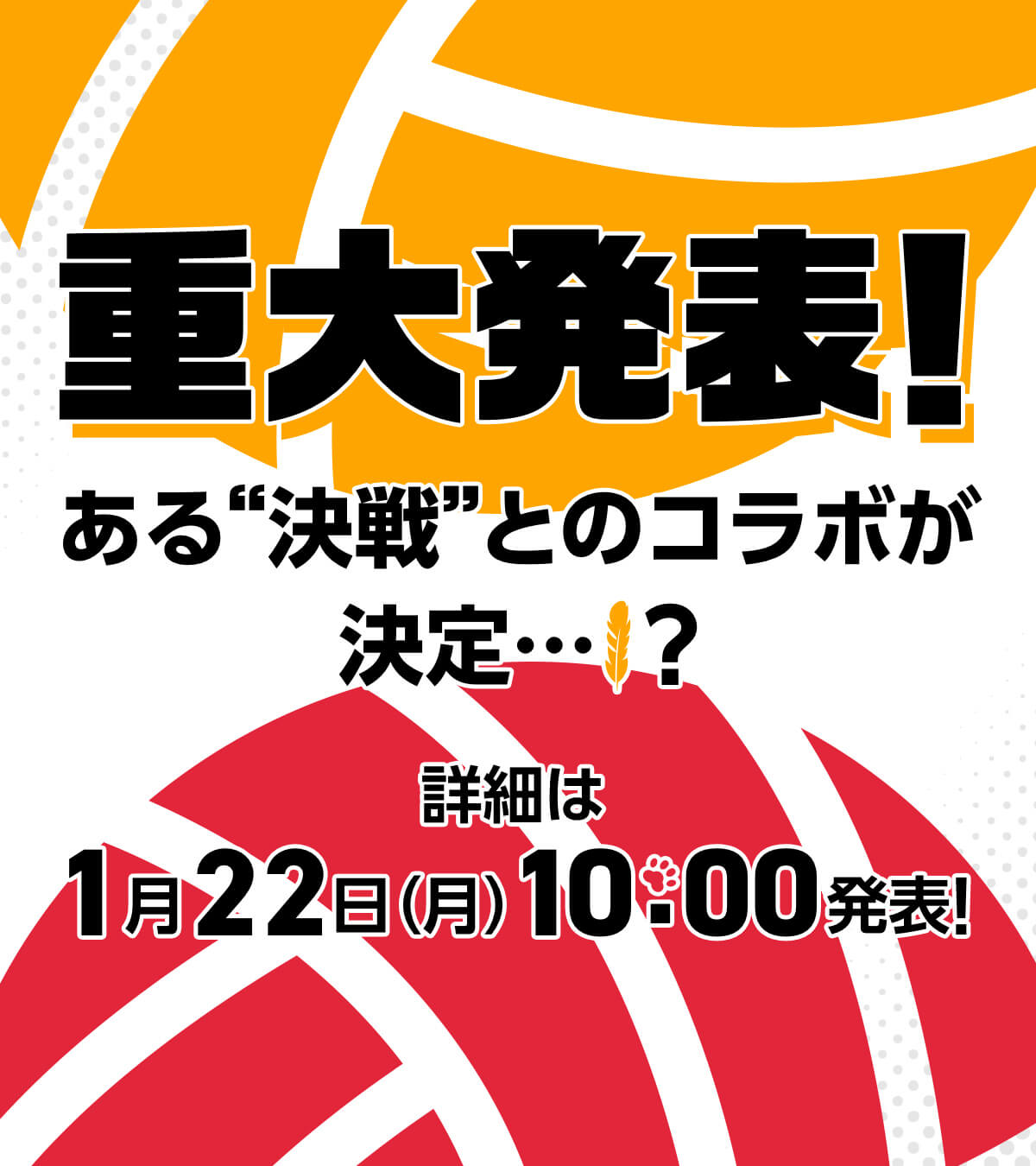 ココスキャンペーン情報　ティザー